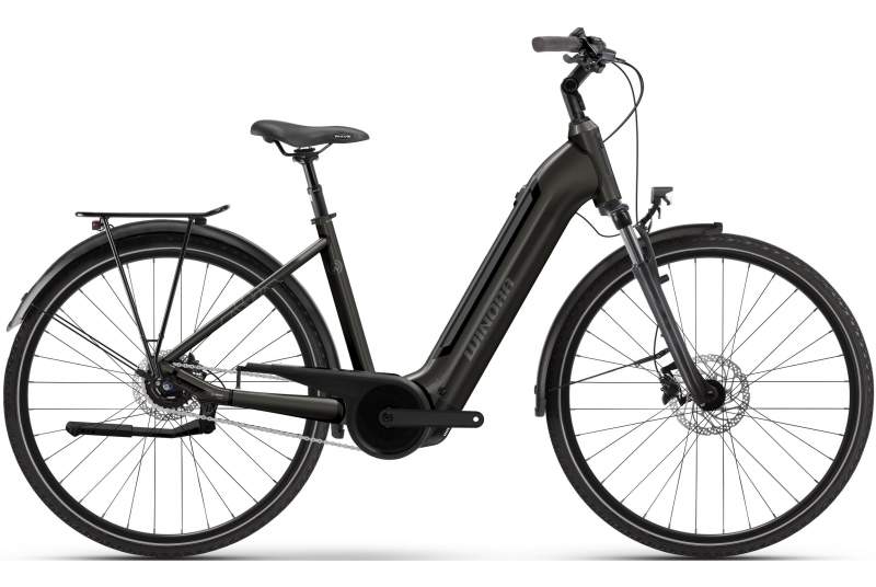 Bicicleta Winora Tria N5F Low 2026