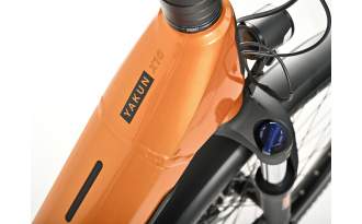 Bicicleta Winora Yakun X10 low Step 2024