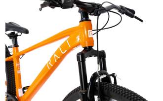 Bicicleta Rali Pro 1