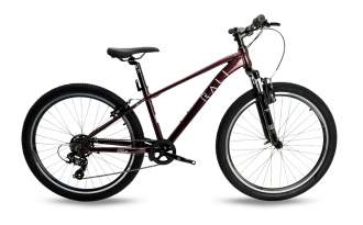 Bicicleta Rali Pro 1