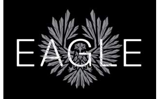 Sram Eagle XX1 XG-1299 12V