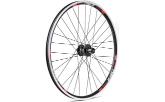 Rueda trasera Gurpil Zac