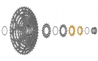 Coronas Shimano 10D y 12D para CS-M9100