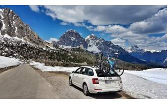 Portabicis TreeFrog PRO 2