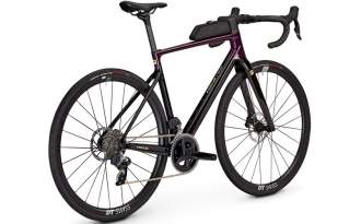 Bicicleta Focus Paralane 8.8 2024 - Violeta y negro
