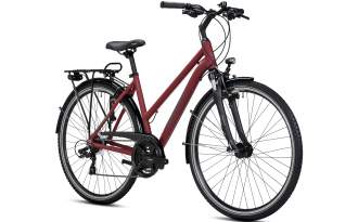 Bicicleta Winora Domingo 21 Mid 2025