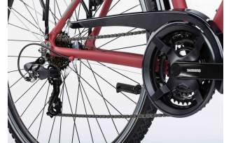 Bicicleta Winora Domingo 21 Mid 2025