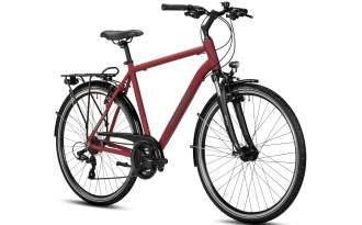 Bicicleta Winora Domingo 21 High 2025