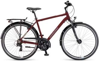 Bicicleta Winora Domingo 21 High 2025