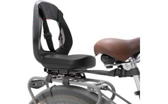 Silla Thule Yepp Junior trasera Budget