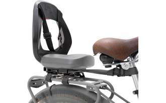 Silla Thule Yepp Junior trasera Budget