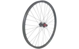Rueda GTR SL30 29” gris C/L XD