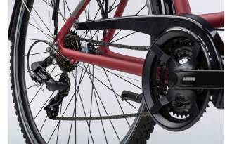 Bicicleta Winora Domingo 21 Low 2025