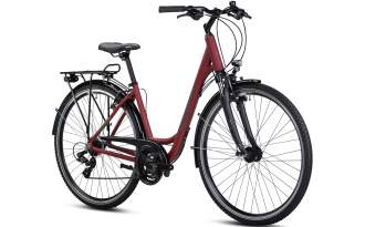 Bicicleta Winora Domingo 21 Low 2025