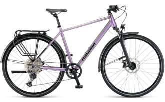 Bicicleta Winora Domingo 21 Pro 2025