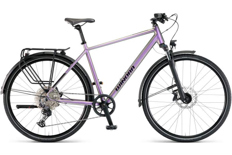 Bicicleta Winora Domingo 21 Pro 2025