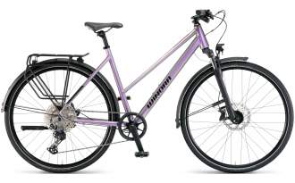 Bicicleta Winora Domingo 12 Pro MID 2025