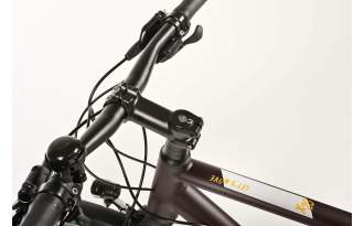 Bicicleta Winora Domingo X20 2025