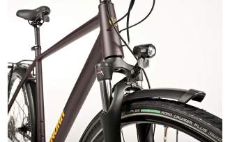 Bicicleta Winora Domingo X20 2025