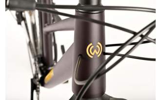 Bicicleta Winora Domingo X20 Mid 2025