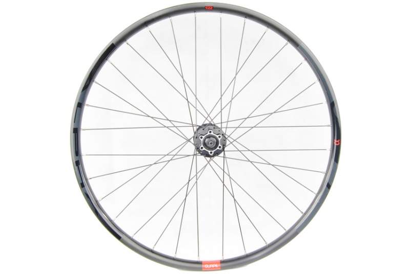 Rueda Gurpil Alpha 29" 6T eje 9,5x100 delantera