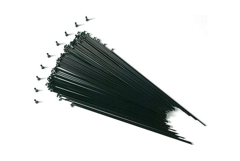 100 Radios negros Gurpil 229 X 2