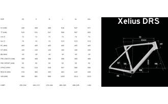 Bicicleta Lapierre Xelius DRS 6.0 AXS CF WS 2025